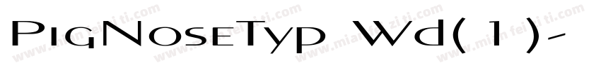 PigNoseTyp Wd(1)字体转换